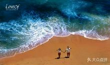 手心的太阳_800字