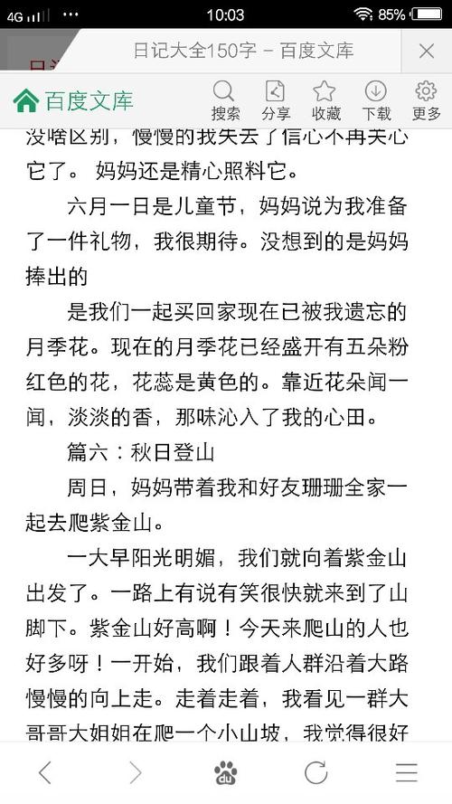 在窗口静静地等待_150字
