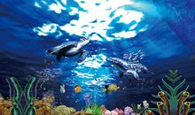 海底世界_600字