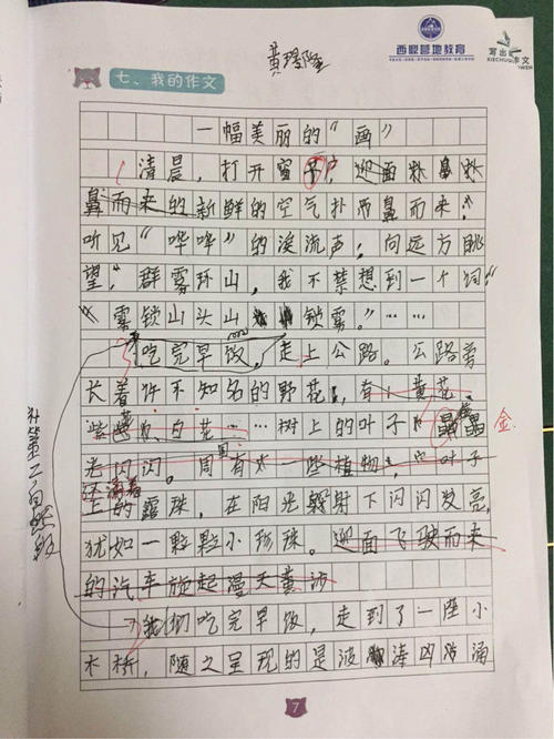 初级三写风景木：山_700字