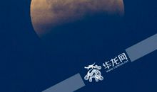 哭泣的影子_1000字