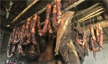 [少年作家杯B组]姨婆家的枣树_1000字