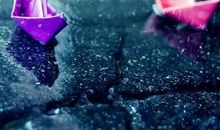 一条鱼的生命历程_2000字