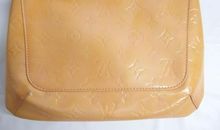 国外名人故事：冰人罗尼·汤普森_900字