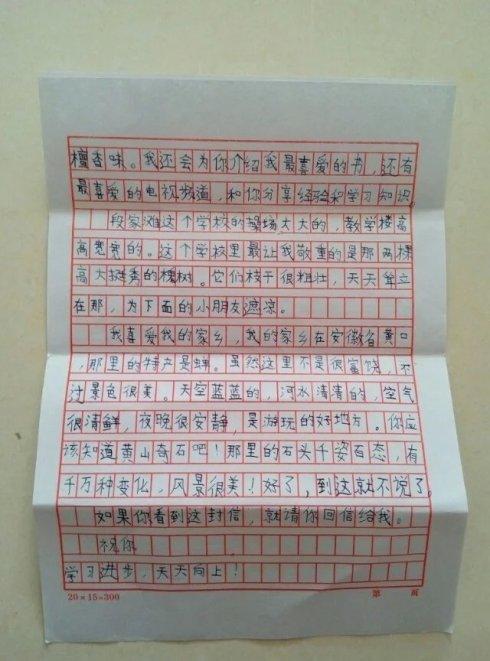遥远亲戚的一封信_1000字
