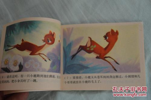 
我轻轻地躺在海鸥上，慢慢地飞到了蓝天。三天三晚，我来到一个花园。我决定在这里摆脱根。