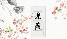 动力来自思想的蒹葭_900字