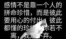 我珍惜——我是九年级人_600字