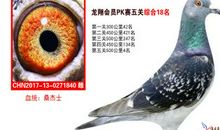 [寒假PK赛]她_500字