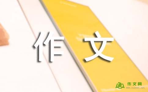 我的新发现_700字