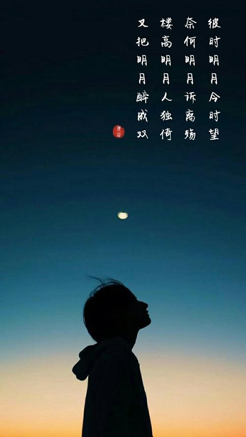 寻找在月光下的救济_350字