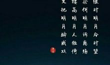 在月夜下寻找一份解脱_350字