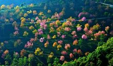 [寒假PK赛]冬日里的暖意_900字