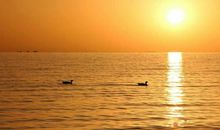 [寒假PK赛]温暖若只如初见_1500字