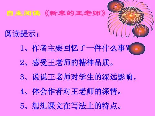 令人难忘的小学生（2）_550字