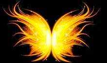 翅膀——飞梦_1200字