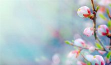 春天的气息_450字