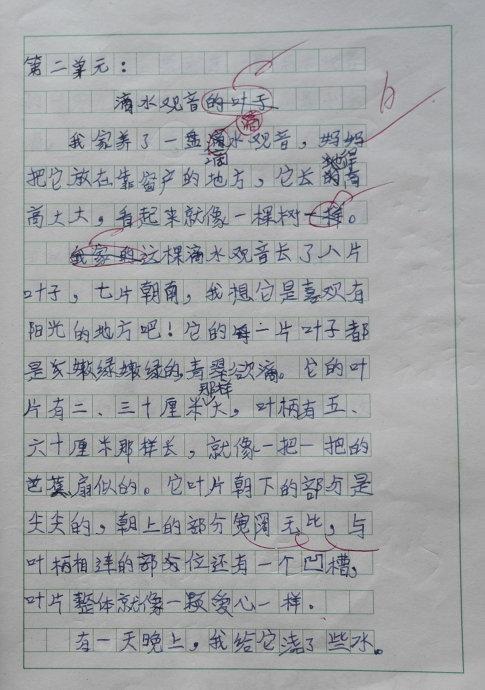 生命的处方_1000字