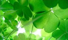 生命中无法忘记的人_700字