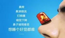 如何区别“只”和“支”