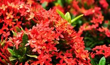 生命的色彩_500字