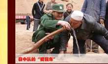 永不褪色的生命_550字