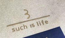 说句心里话 我也爱你_1000字