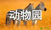 生活小窍门_350字