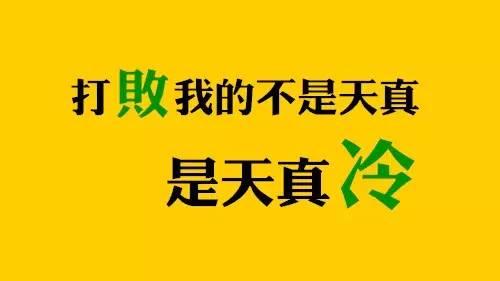 我击败了这匹马到老虎_500字