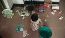 我家的调皮蛋——小黑_800字