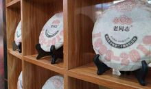 隆重的瓷博会_800字