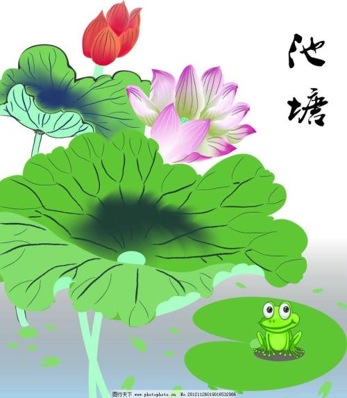 莲花的组成：莲花_550字