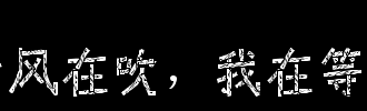 ？听风，等着你_700字