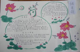 用莲花的组成：看莲花_600字