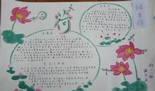 关于荷花的作文：看荷花_600字