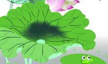 关于荷花的作文：荷花_2000字