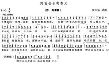 关于暑期的作文：野百合的春天_1200字