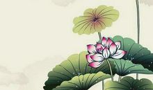 关于荷花的作文：赞美荷花的句子_550字