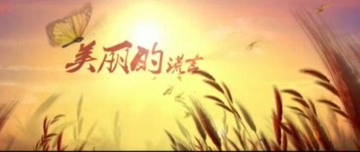 美丽的谎言_450字