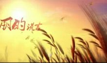 美丽的谎言_450字