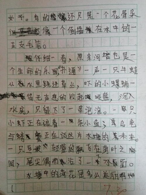 莲花的组成：莲花_650字