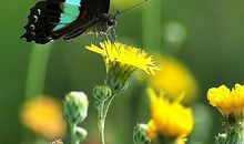 雨落无声_1200字