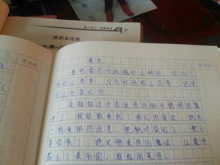 莲花的组成：莲花_1000字