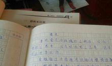 关于荷花的作文：荷花浔_1000字