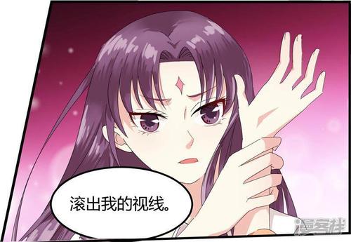我的视线_600字