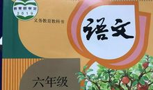 保卫国家，振兴中华——读《狼牙山五壮士》后感_300字