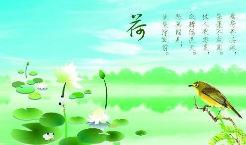 用莲花组成：莲花_700字