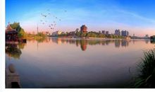 书，哺育我的精神灵魂_400字