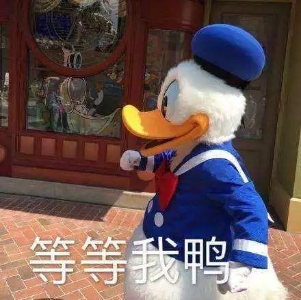 现实和幻觉_900字