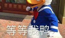 现实与幻象_900字